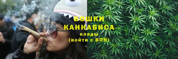 гашик Белоозёрский