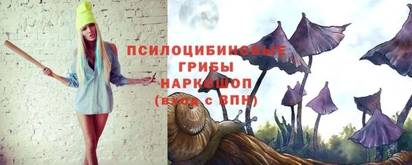 гашик Белоозёрский