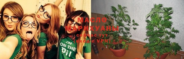 гашик Белоозёрский