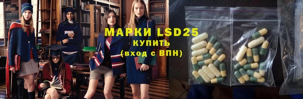 гашик Белоозёрский