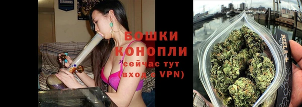 гашик Белоозёрский