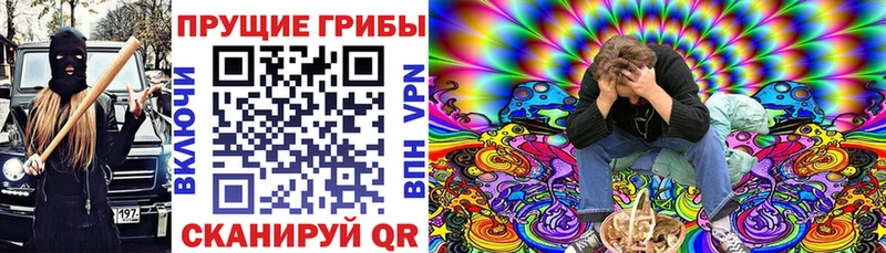 Псилоцибиновые грибы Cubensis  продажа наркотиков  Володарск 